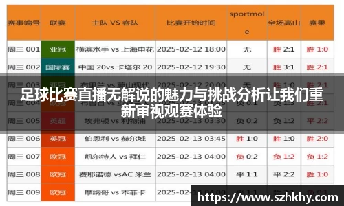 足球比赛直播无解说的魅力与挑战分析让我们重新审视观赛体验