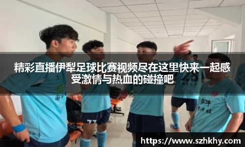 3377体育官网