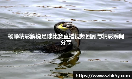 杨峥精彩解说足球比赛直播视频回顾与精彩瞬间分享