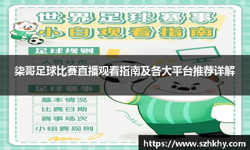 柒哥足球比赛直播观看指南及各大平台推荐详解
