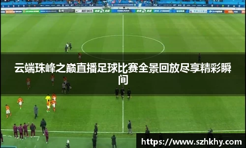 3377体育官网下载