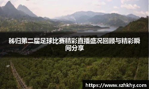 3377体育官网下载